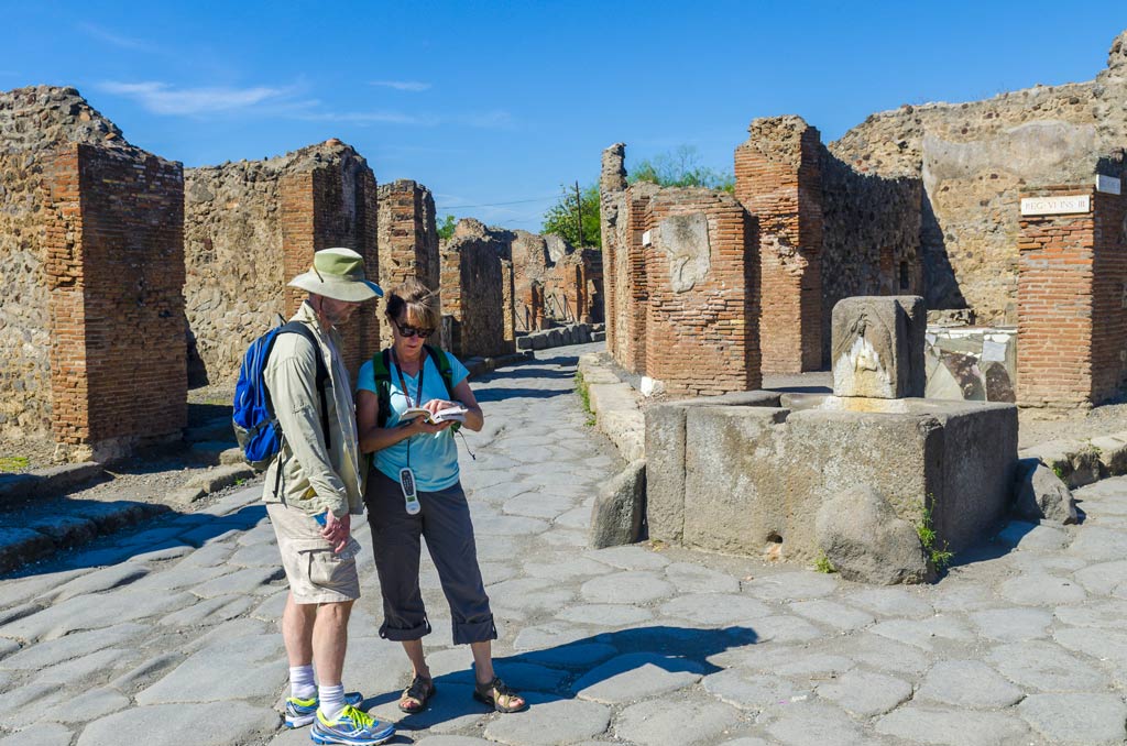 Pompeii and Vesuvius Private excursion with Tickets Included