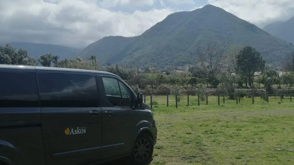 a car parked in a field with a mountain in the background