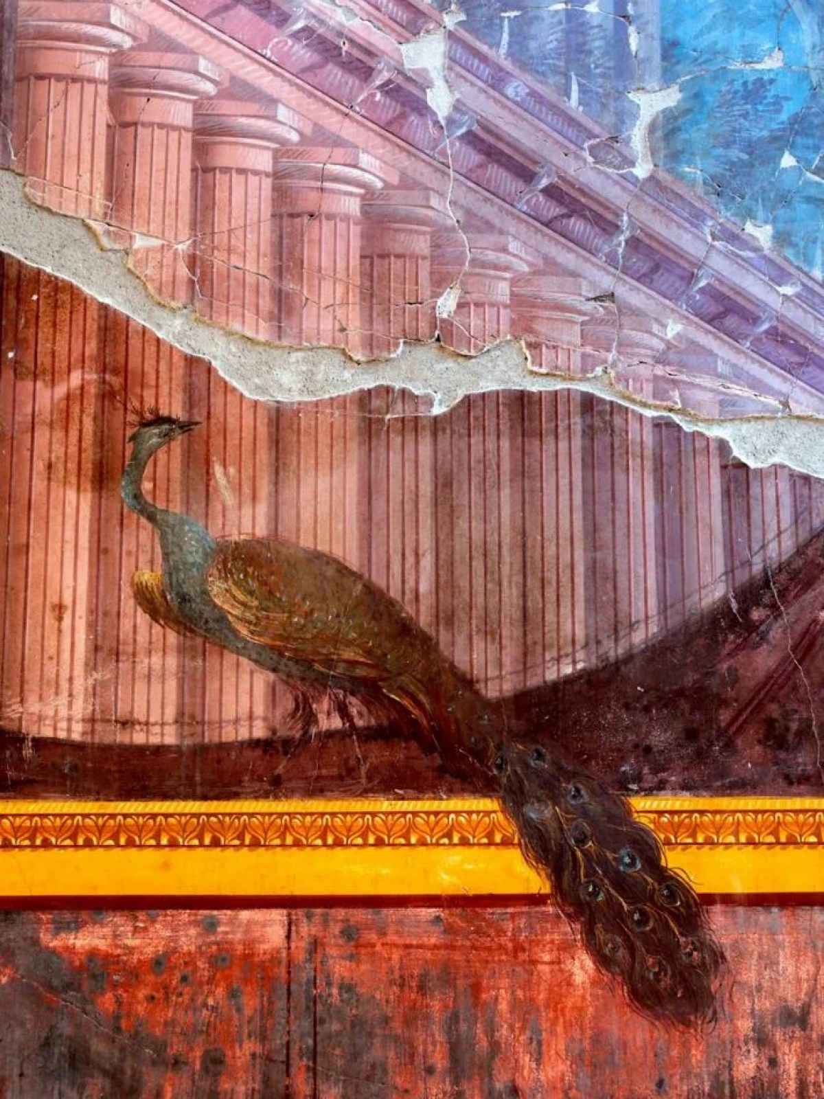 a bird sitting on top of a building