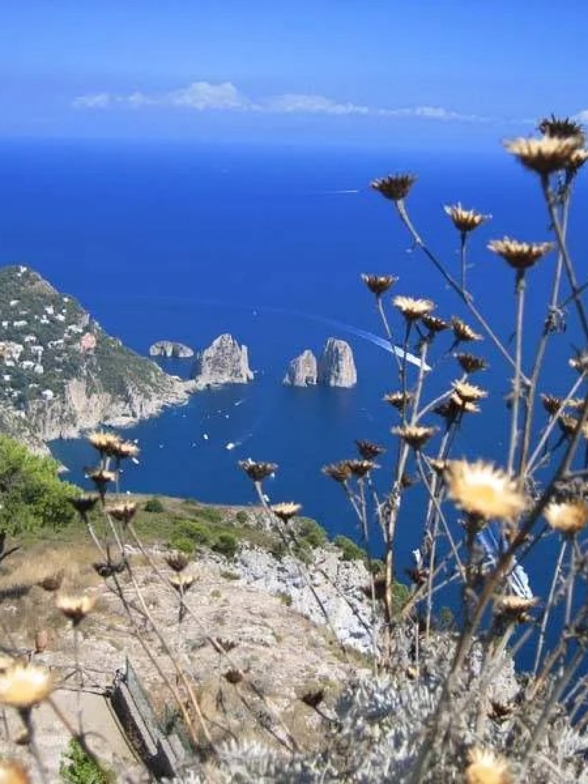 a flock of seagulls standing on the side of a mountain