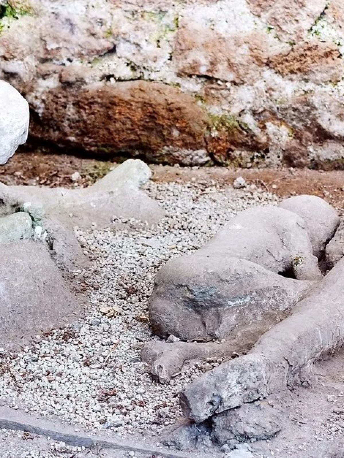 a pile of dirt in a rocky area
