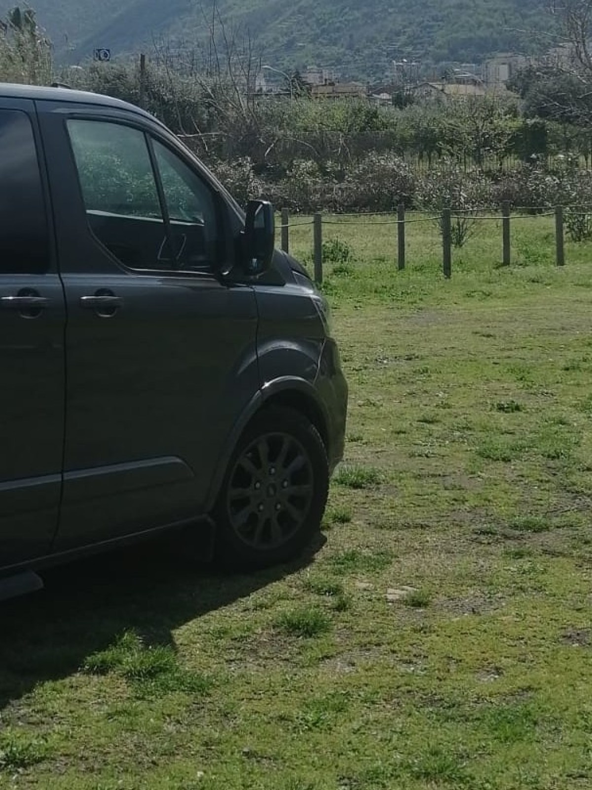 a car parked in a grassy field