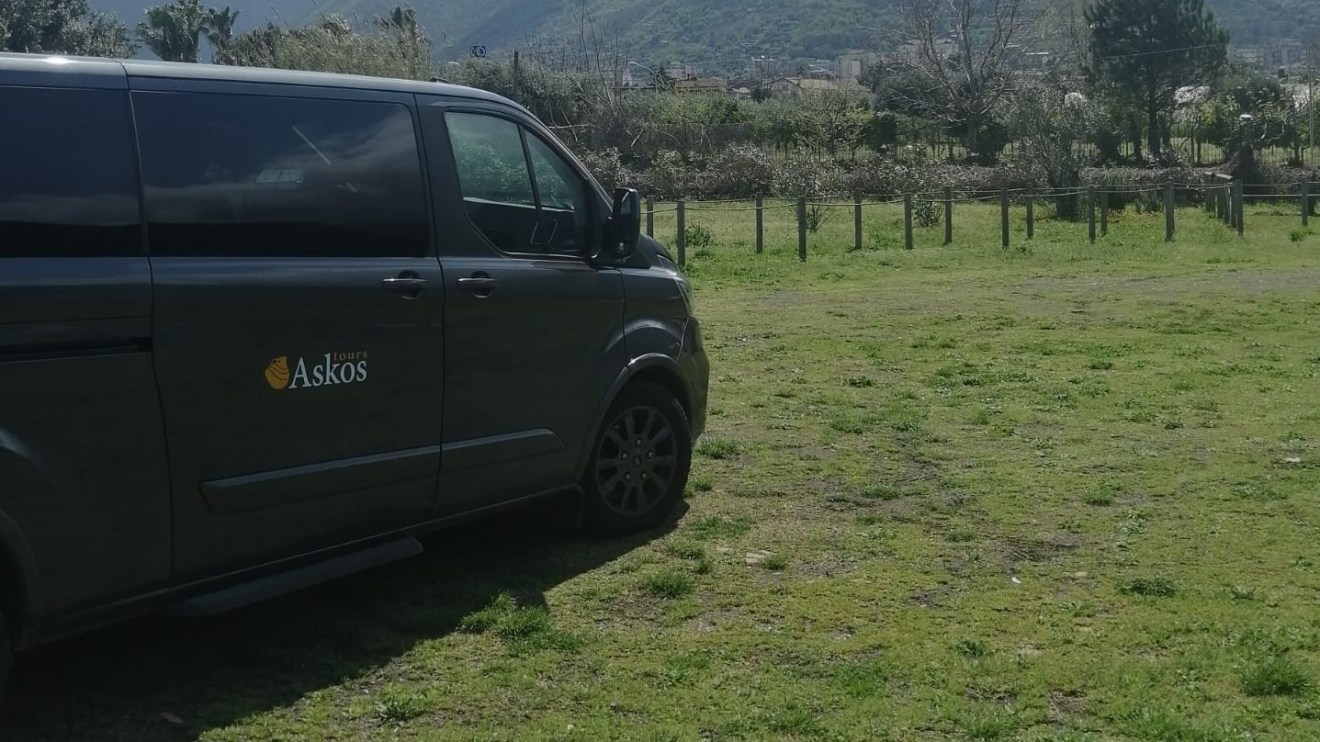 a car parked in a grassy field