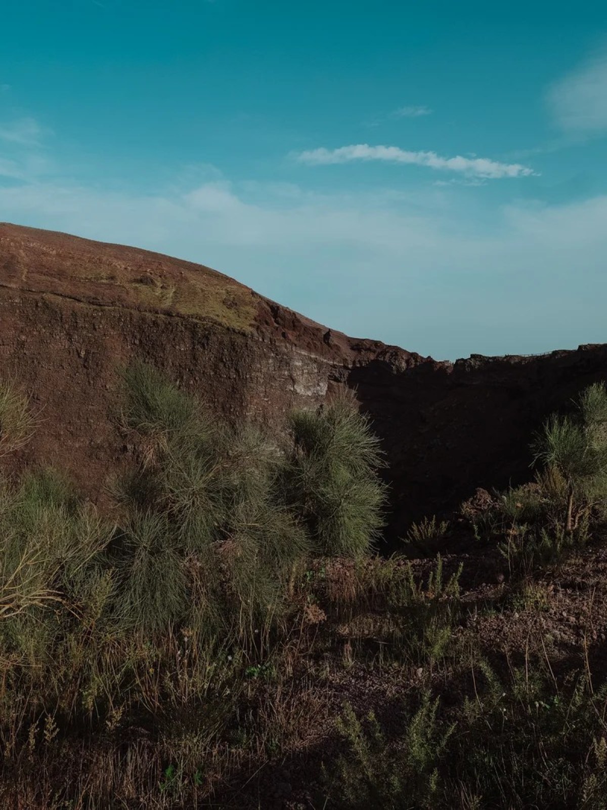 a close up of a hillside