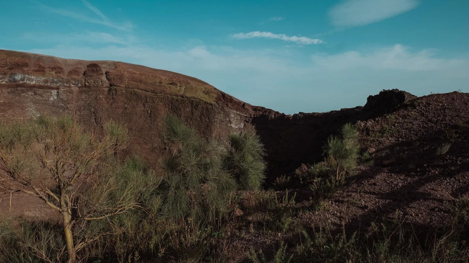 a close up of a hillside
