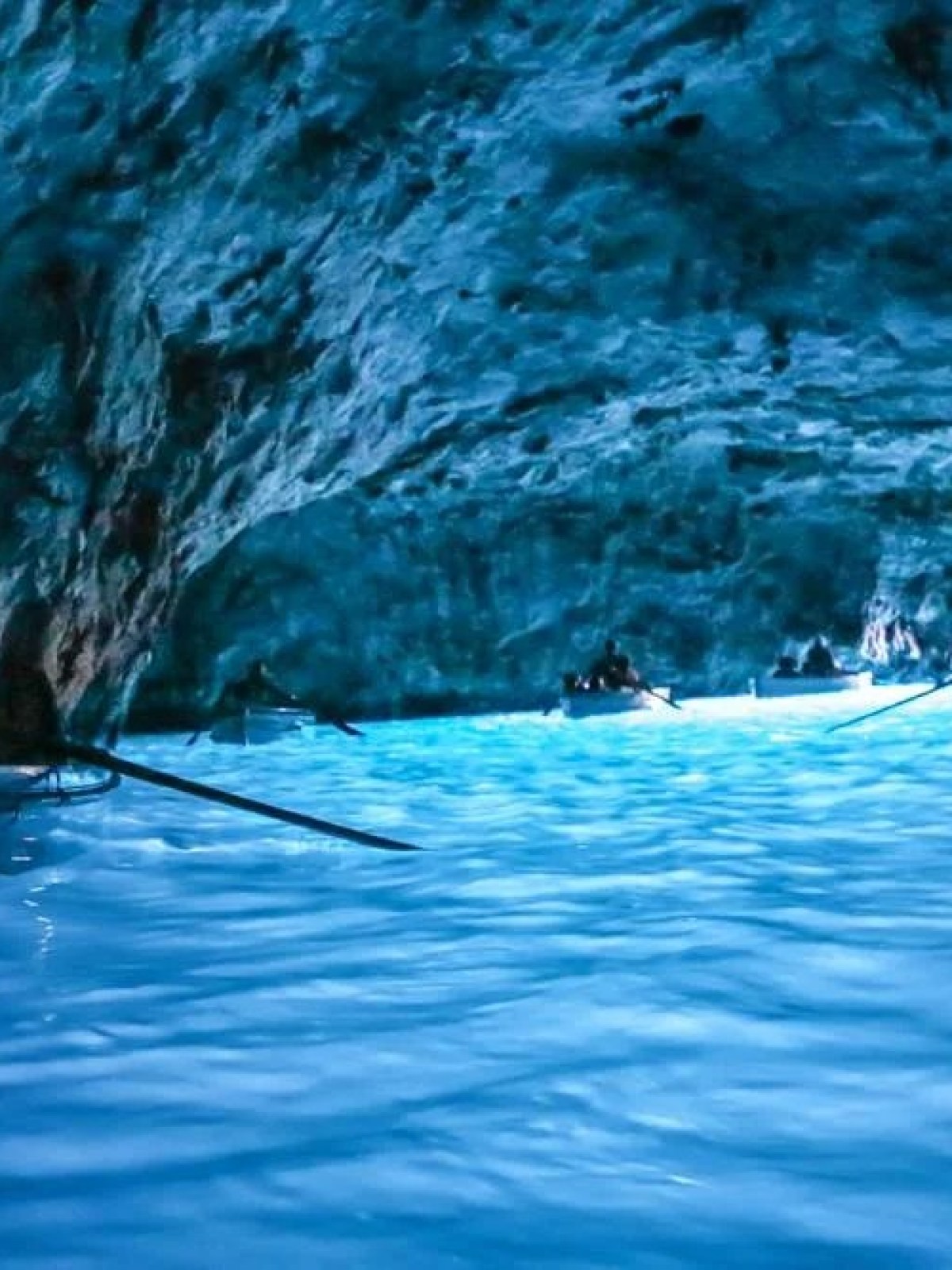 a fish swimming under water