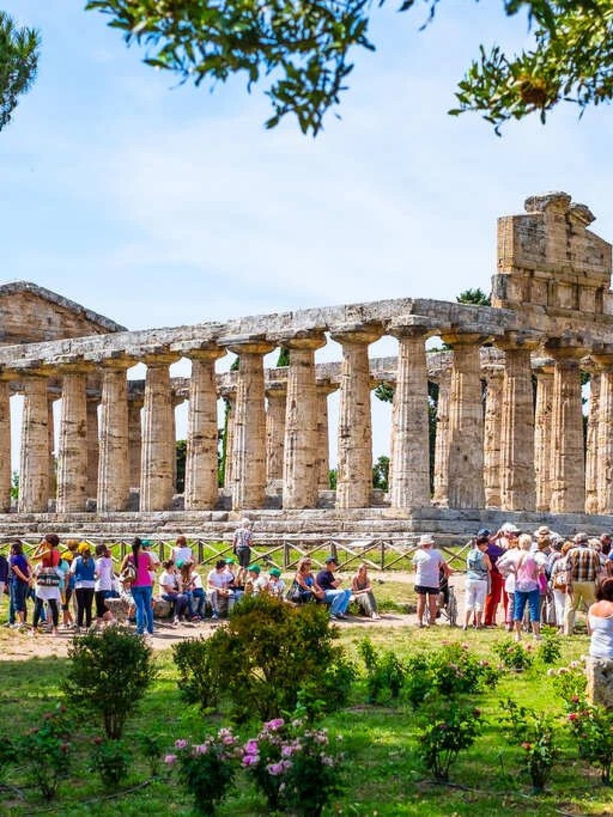 a group of people in a garden
