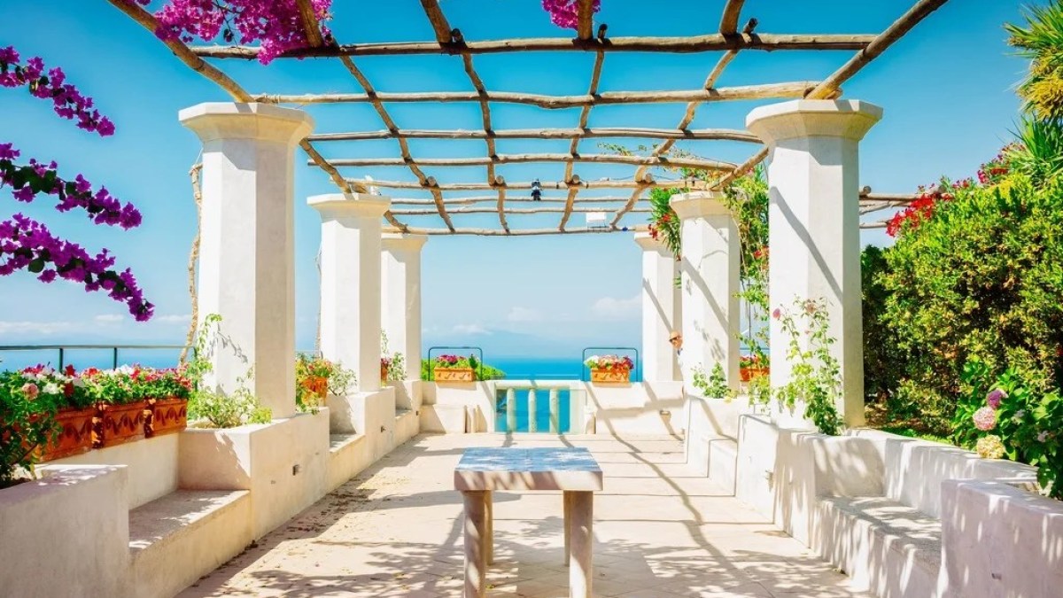 a vase of flowers sitting on top of a building