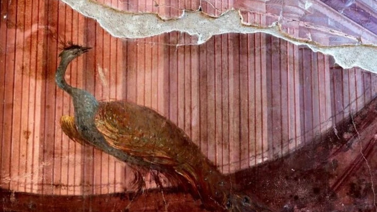 a bird sitting on top of a building