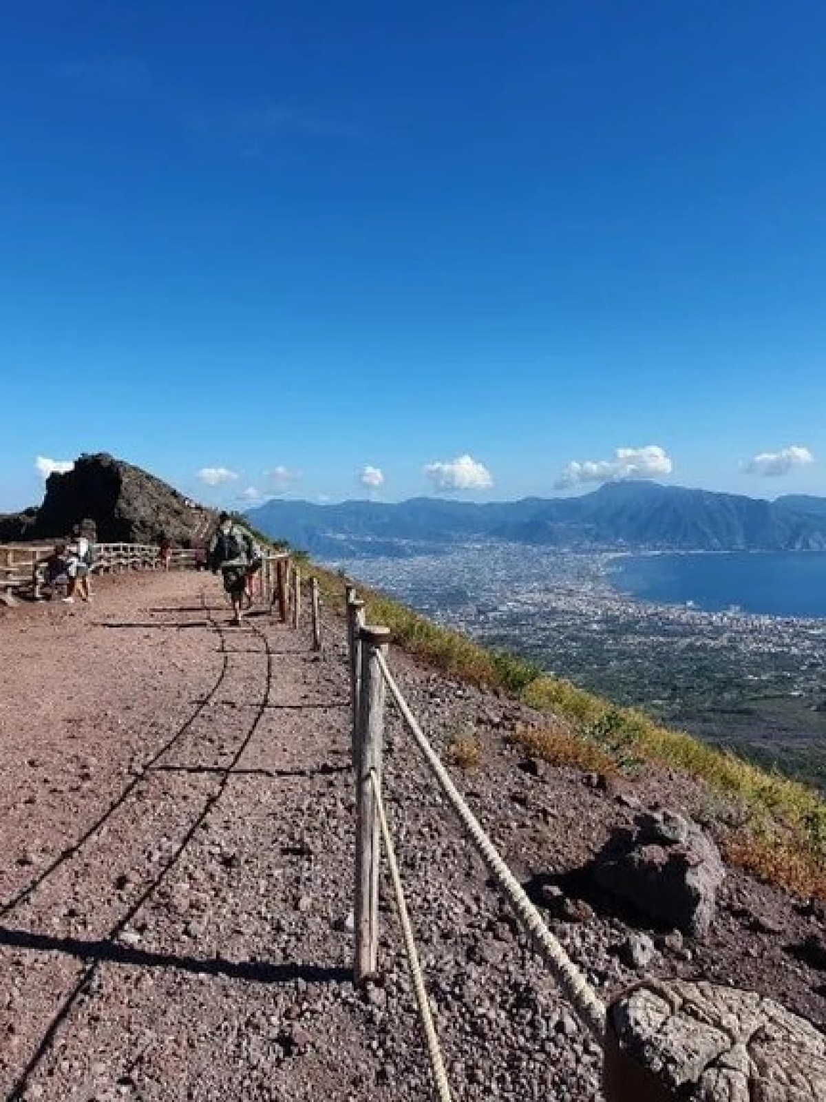 a path with trees on the side of a mountain