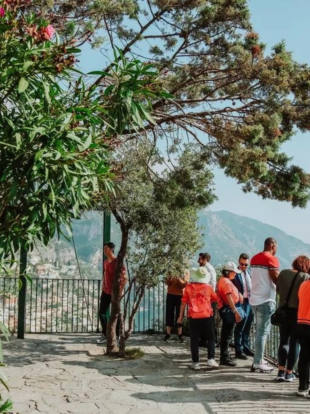 a person standing in front of a tree