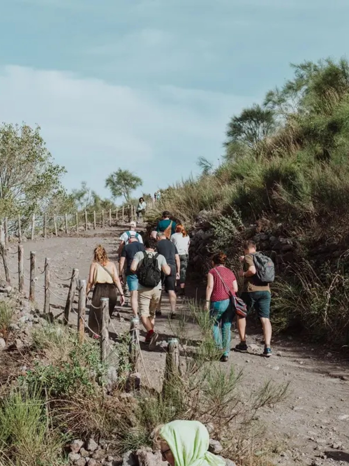 Group of people hiking up a dirt trail surrounded by greenery and wooden fence posts.