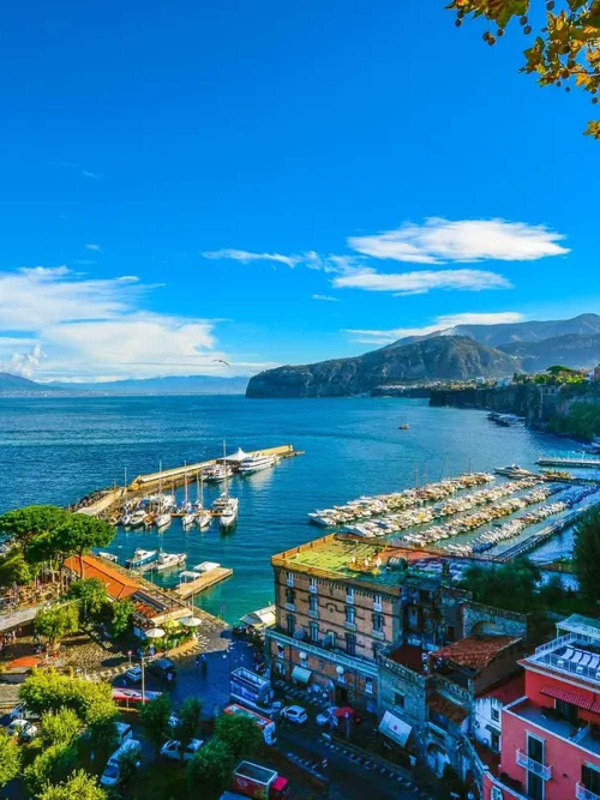 Coastal town with marina, colorful buildings, and distant mountains under a clear blue sky.